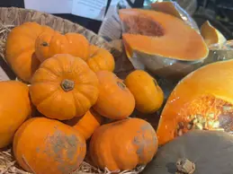 511-biocoop-coustellet-culture-bio-magasin-courge-local.webp