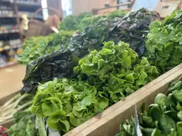 511-biocoop-coustellet-culture-bio-magasin-salade-saison.webp